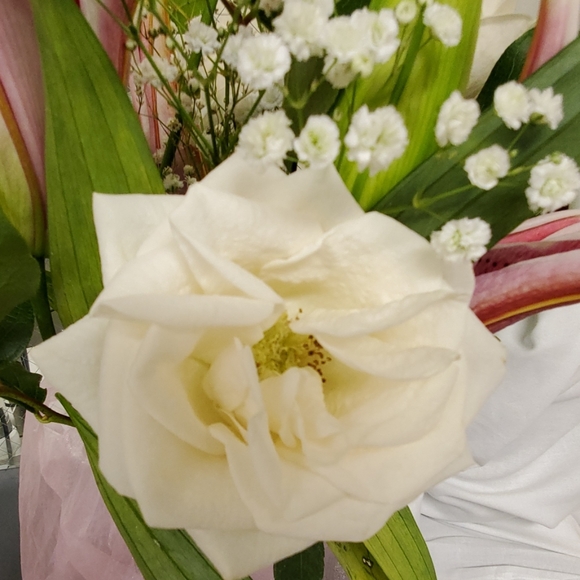 Meet your Posher, Liz - Picture 1 of 1